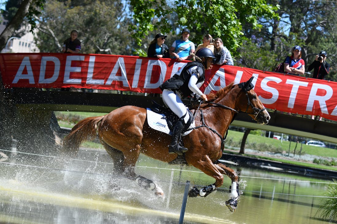 2025 Adelaide Equestrian Festival Adelaide, Event South Australia