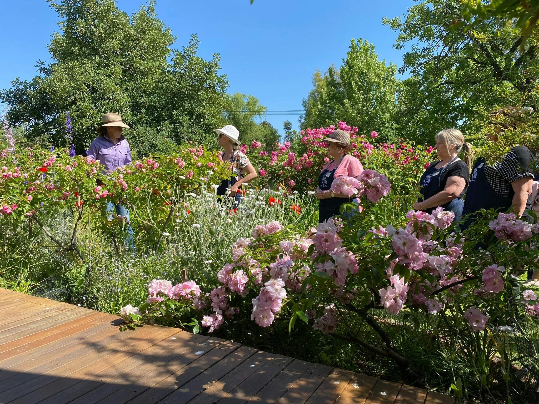 tour the established garden at Lake View House.