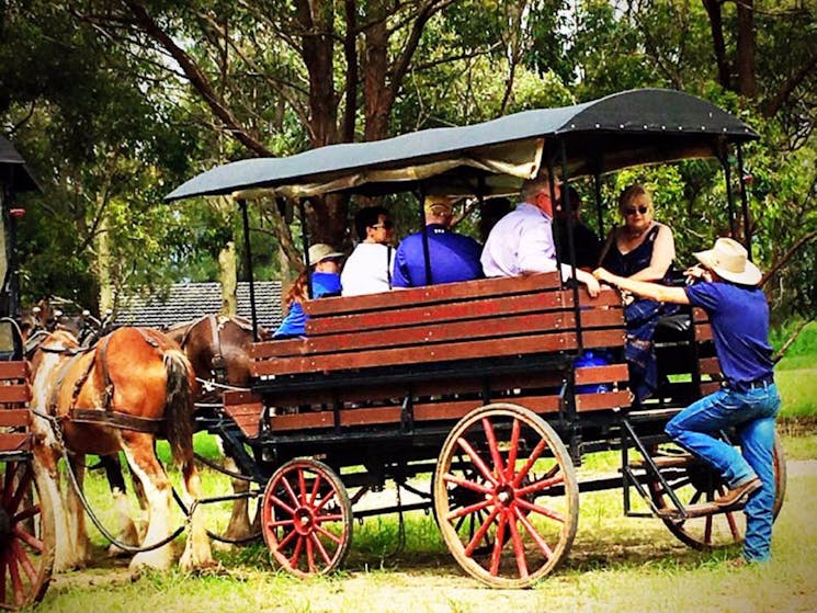 Horse & Carriage Tour