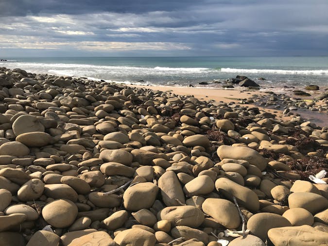 5 day wellness walking tour to Fleurieu Peninsula