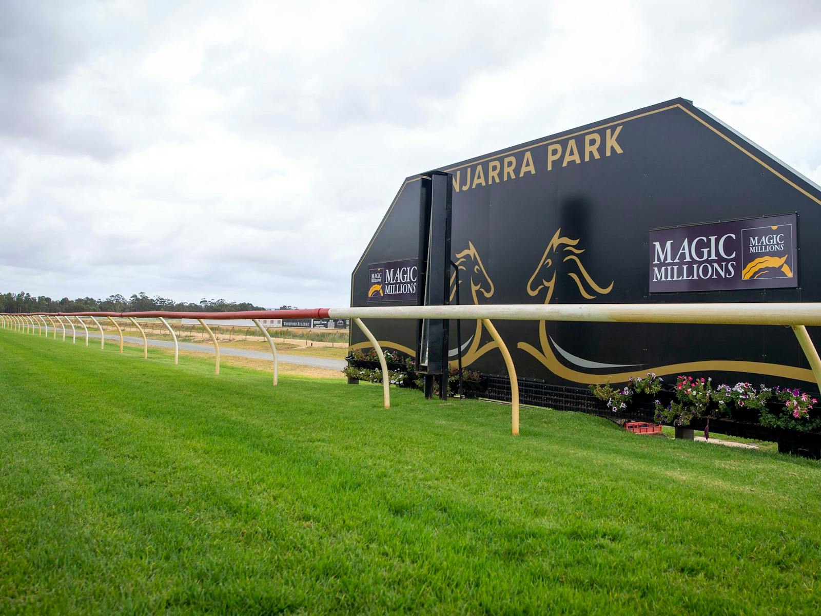 Image for Alcoa Grandstand Cup Day at Pinjarra Park