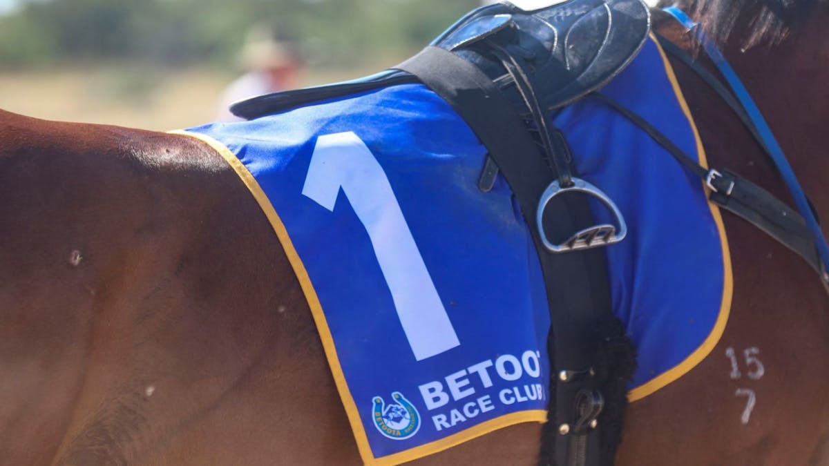 Simpson Desert Racing Carnival