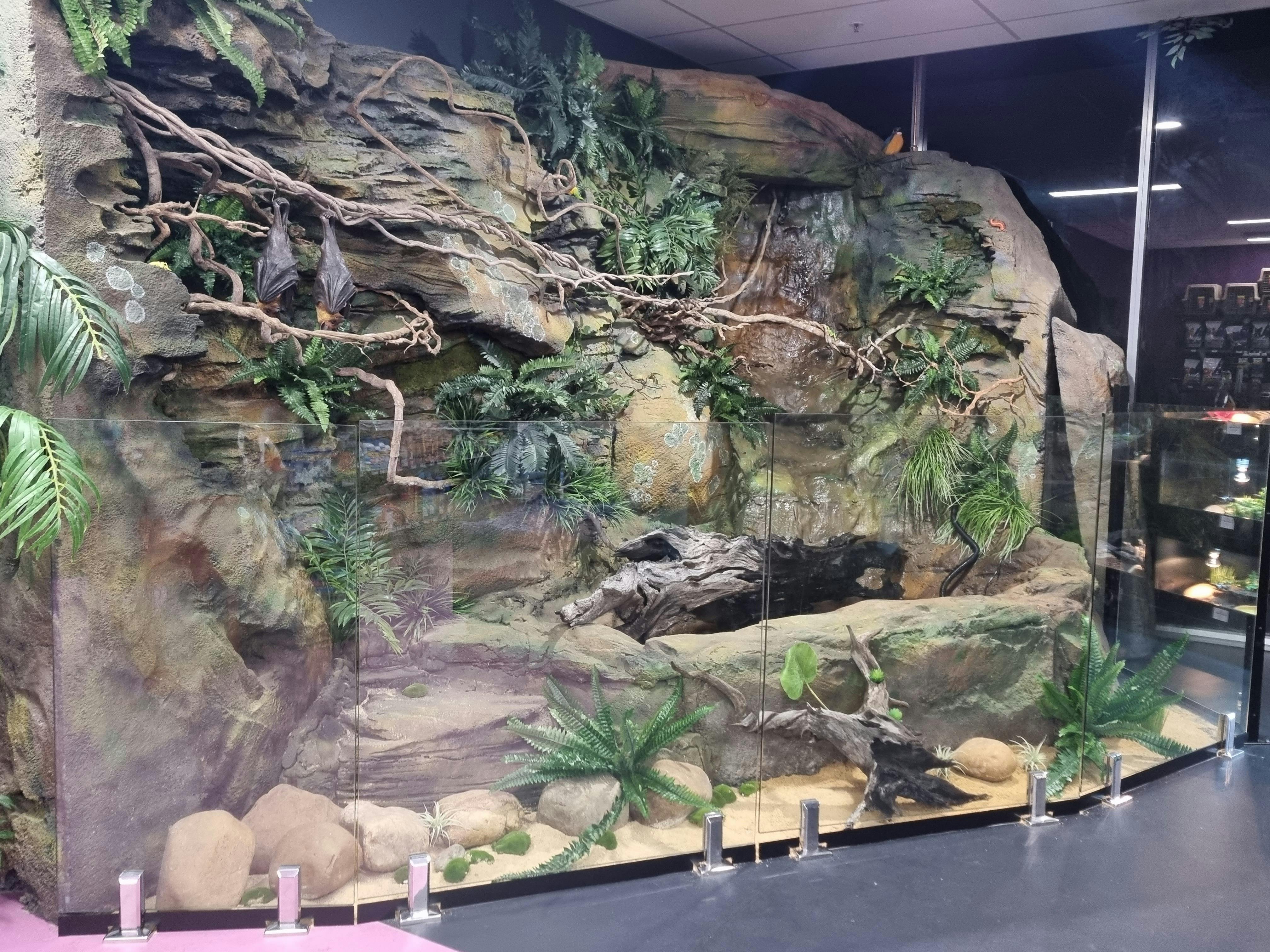 Best reptile room ever