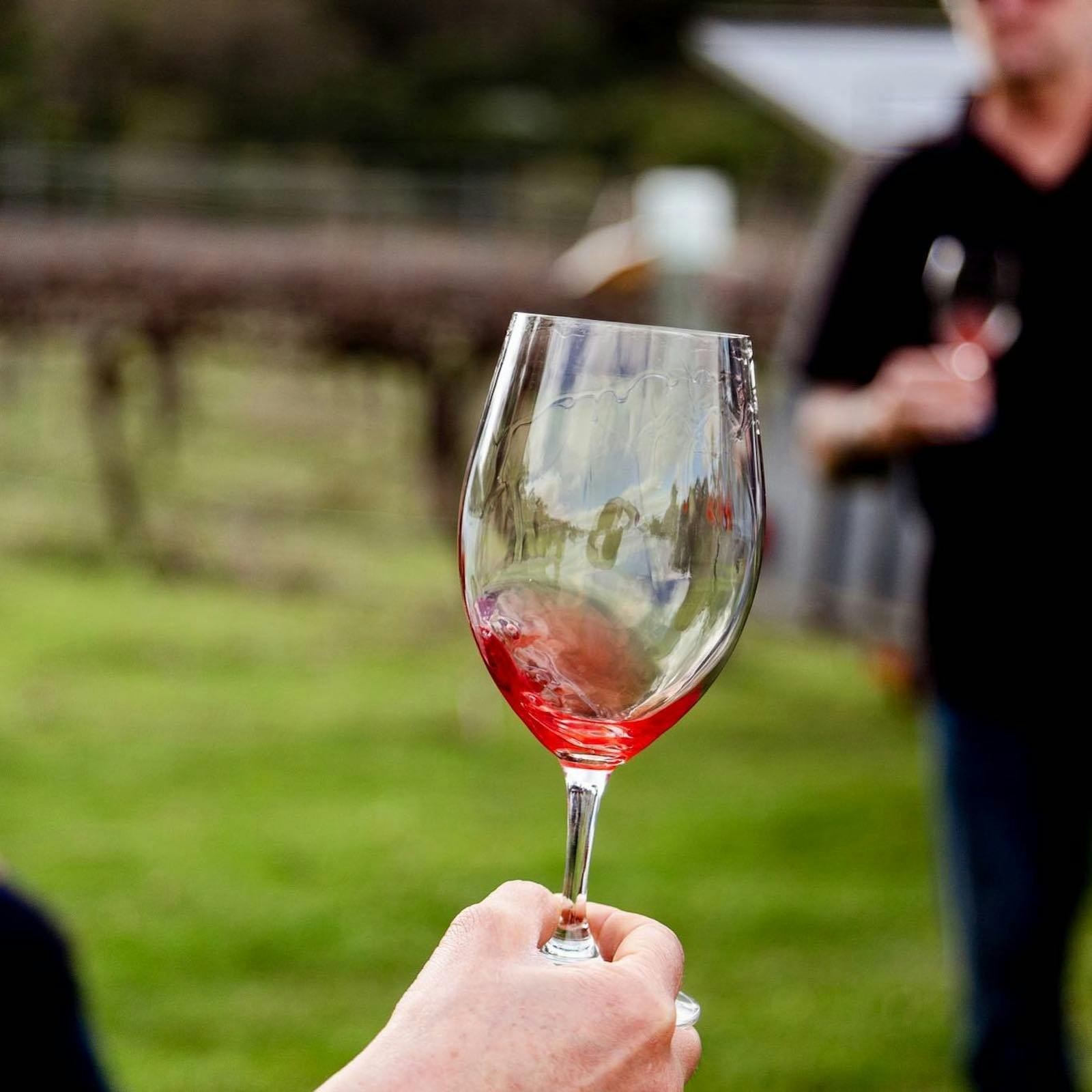 Skigh Wines