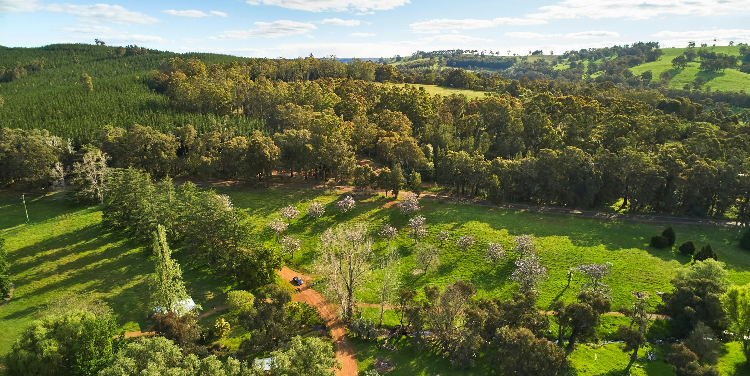 Golden Valley Tree Park drone