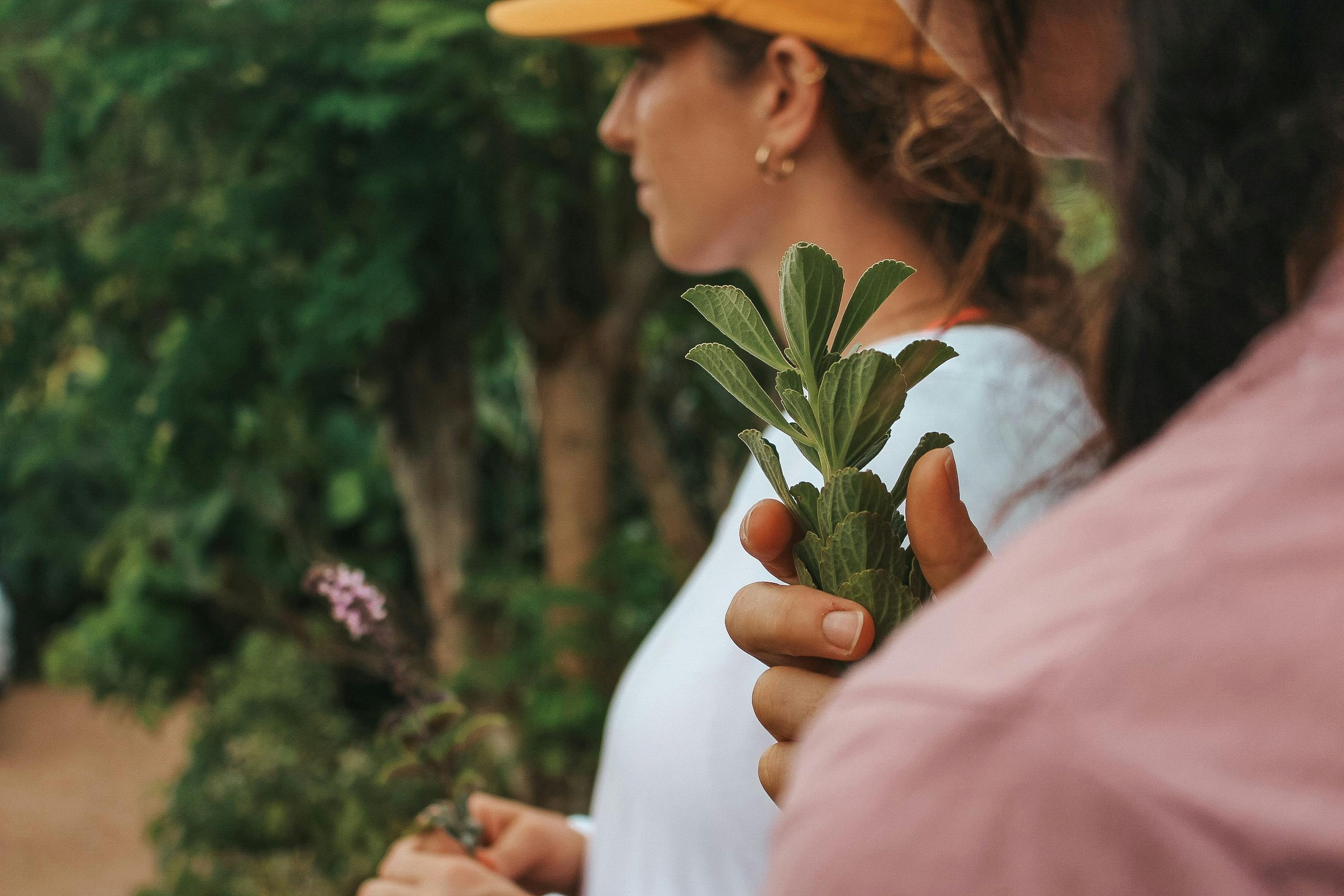Garden Tour Experience