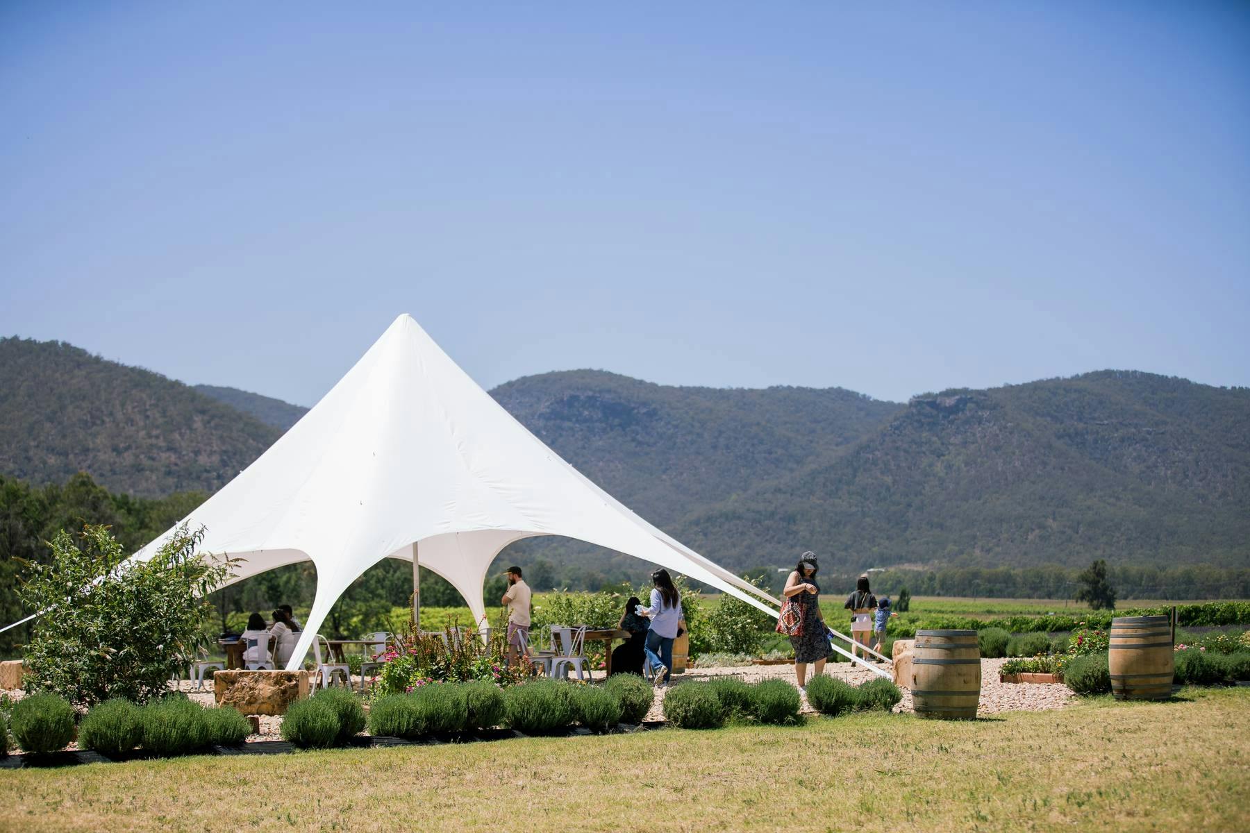 Tent Hunter Lavender Farm