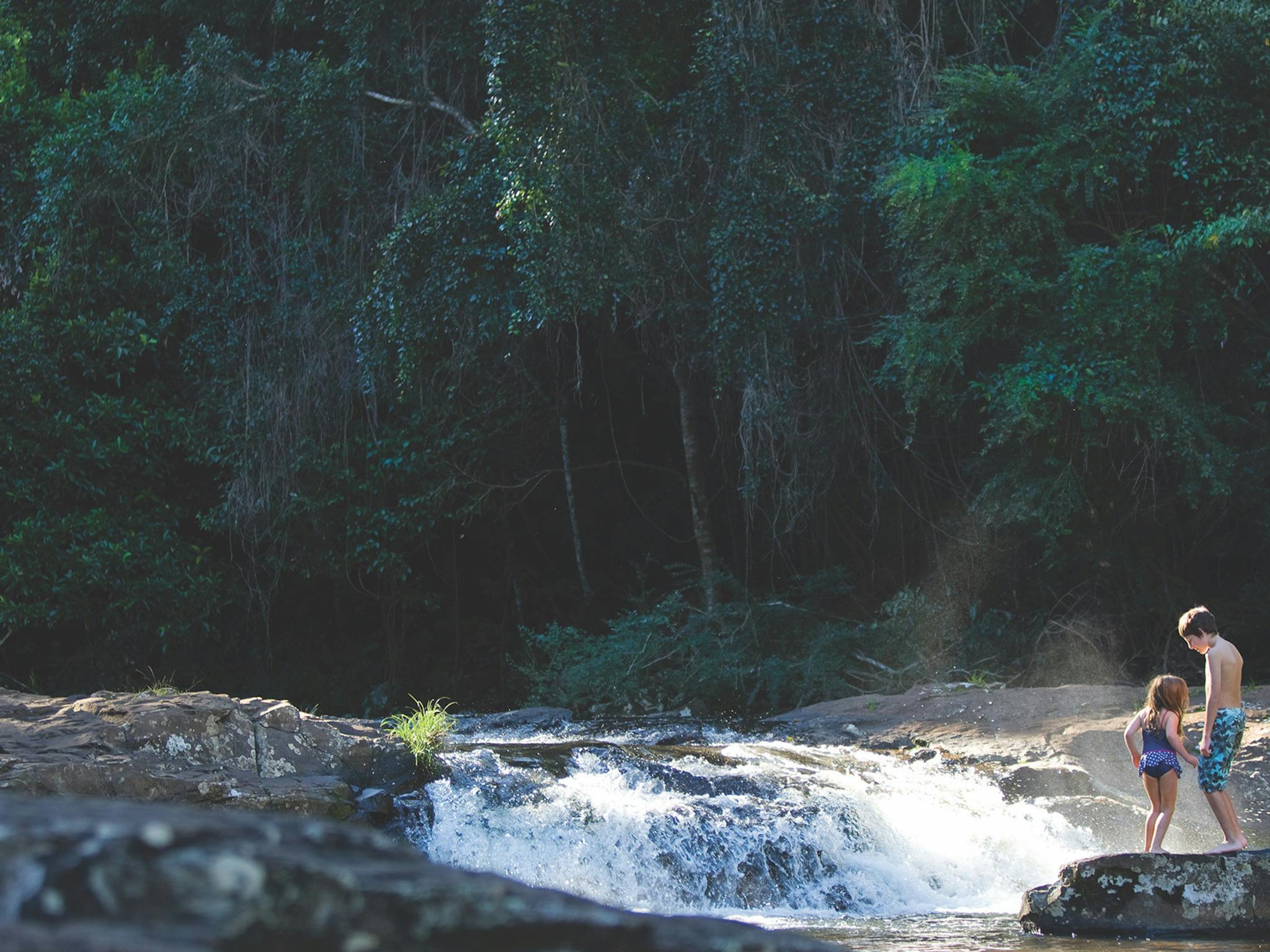 Gardners Falls, Maleny, Sunshine Coast Gardners Falls, Maleny, Sunshine Coast