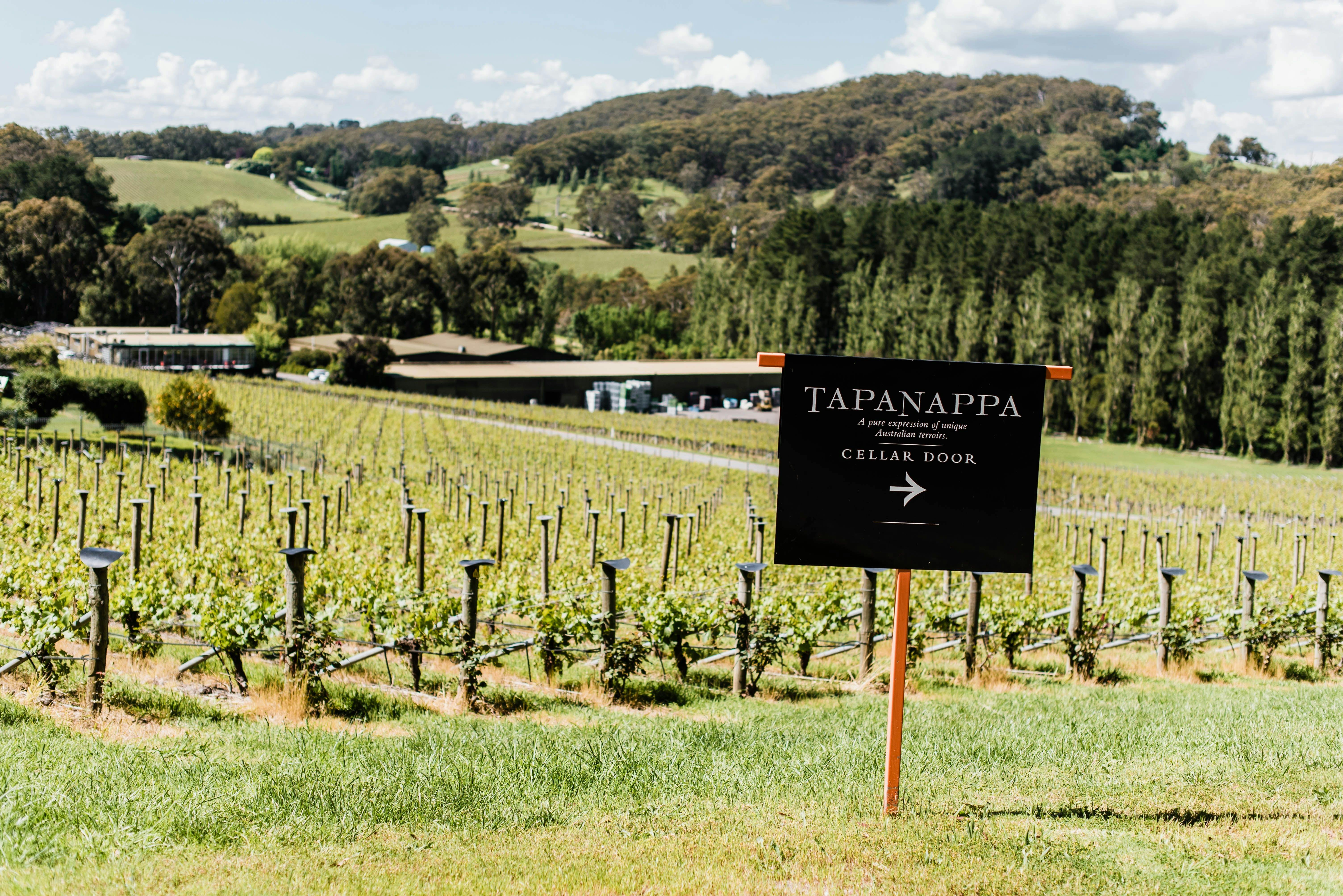 Tapanappa Wines - Hosted Tasting Experiences