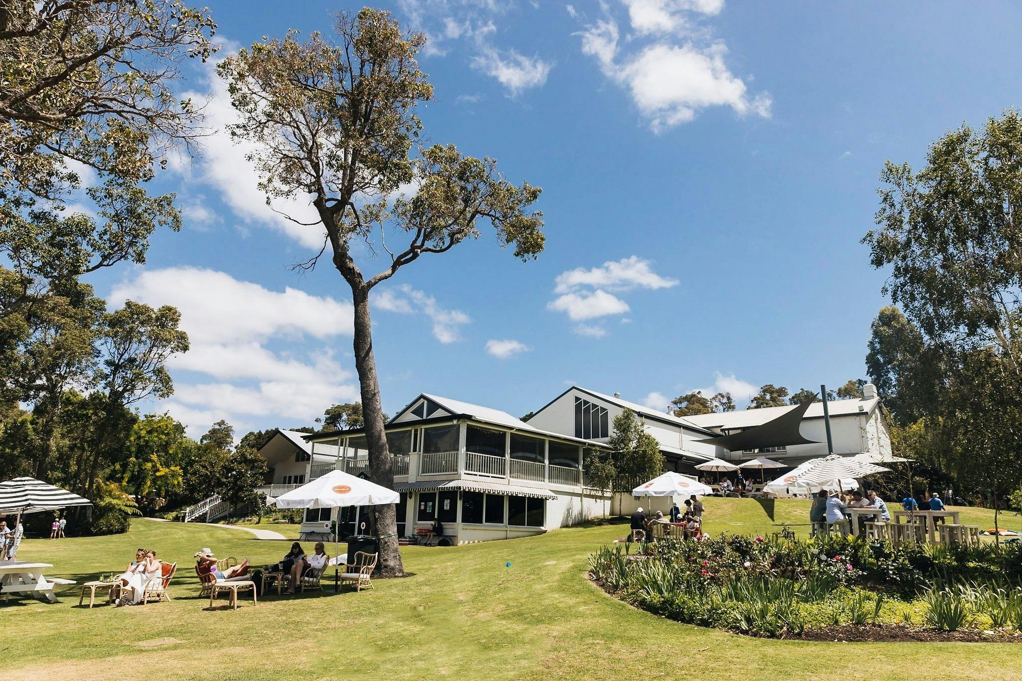 Trees, umbrellas and people seated outside a white building