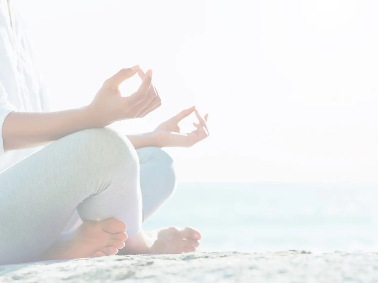 One Day Mini Retreat at Changing Habits Farm, Sunshine Coast