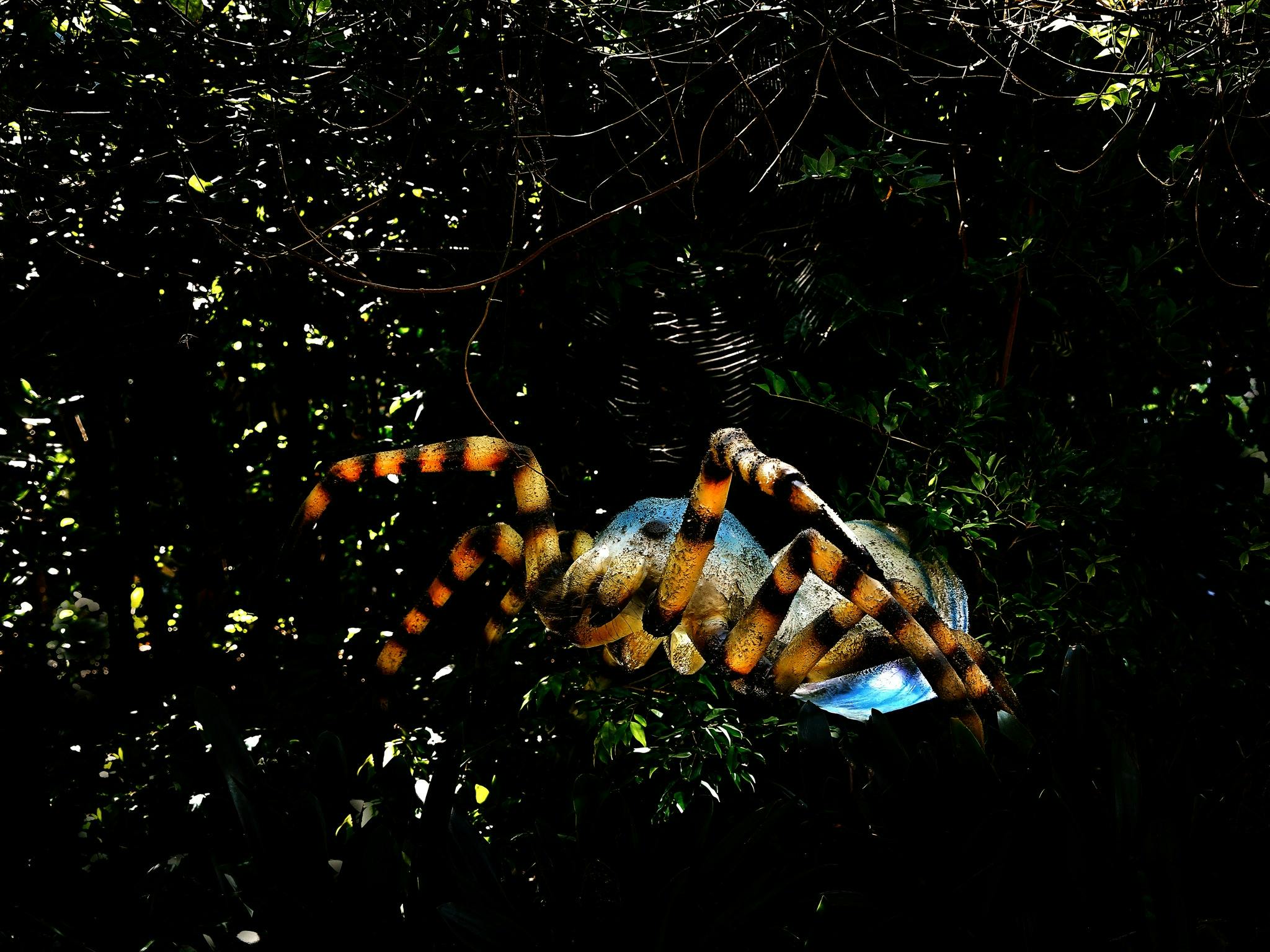 Mega Creatures Night Safari at Hunter Valley Gardens NSW Holidays