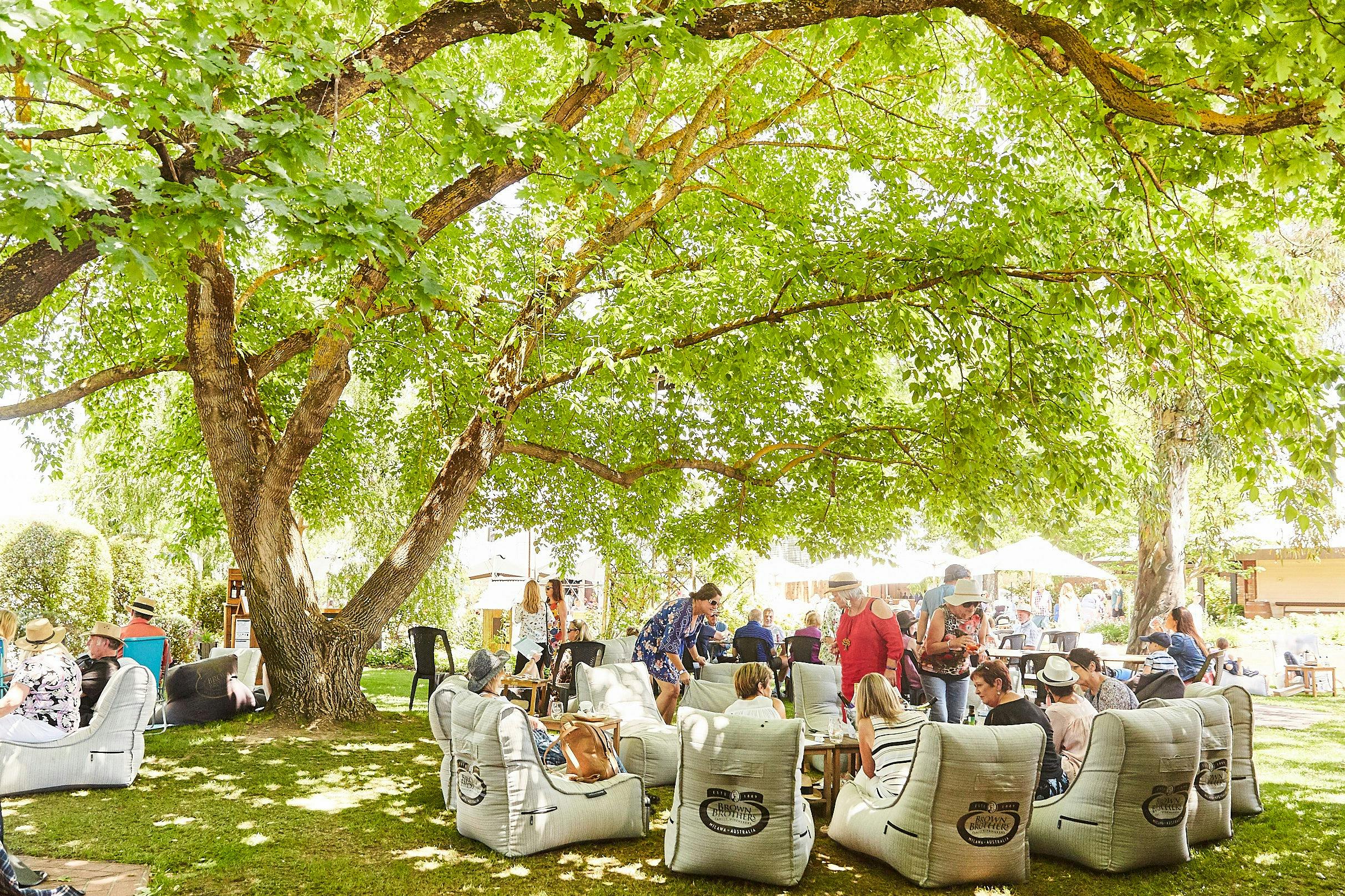 beanbags on the lawn at Brown Brothers