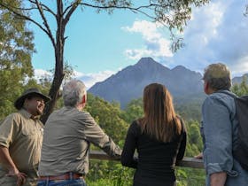 A tour guide and three visitors admire Mount Barney from a distance