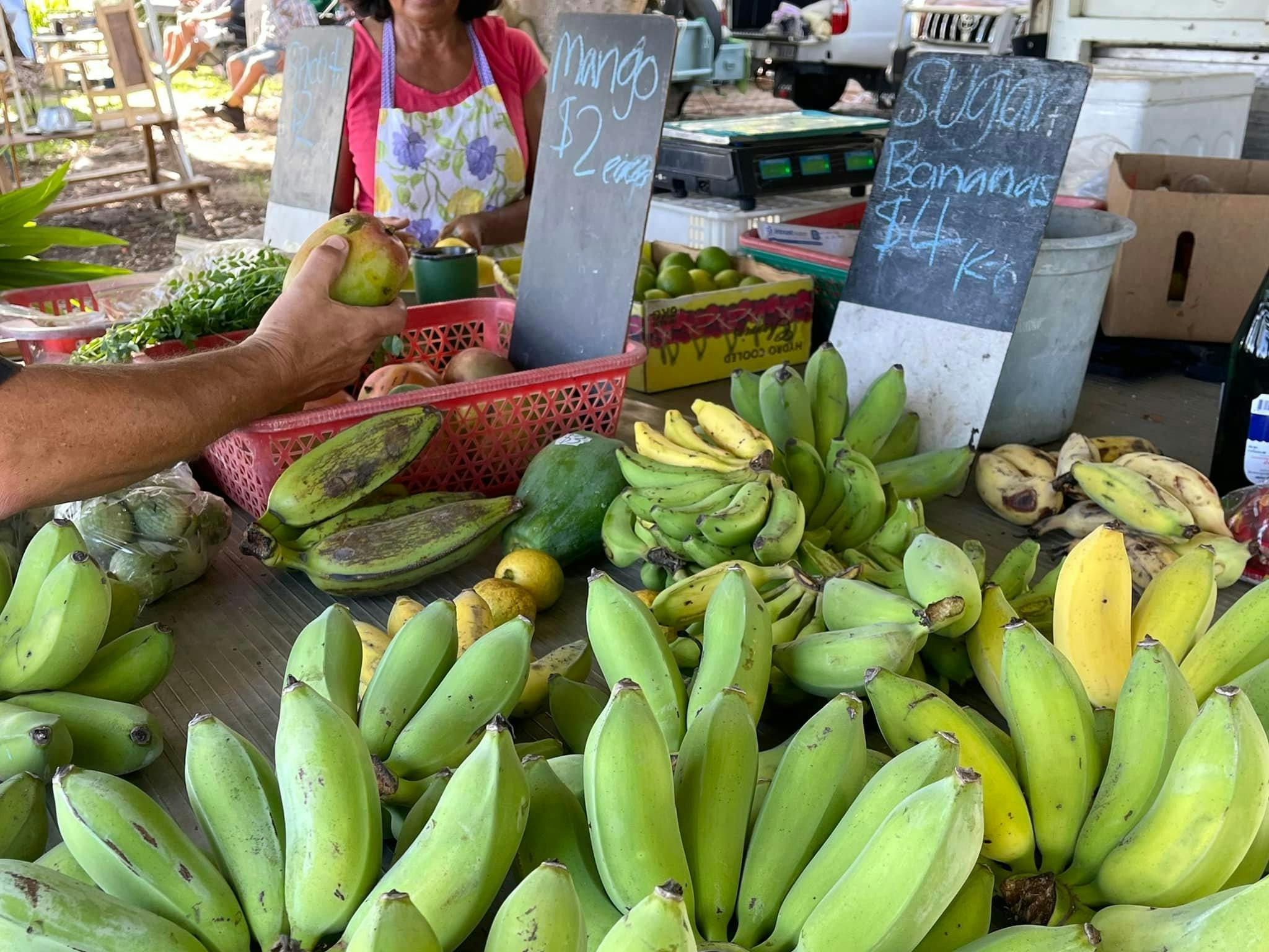 Bowen Farmers Market