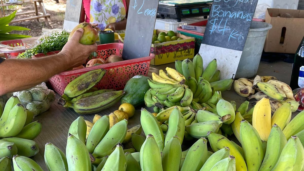 Bowen Farmers Market