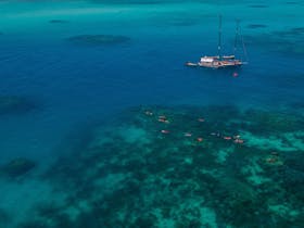 Snorkelling off Ocean Free vessel on Great Barrier Reef -  Green island, snorkel and dive , island