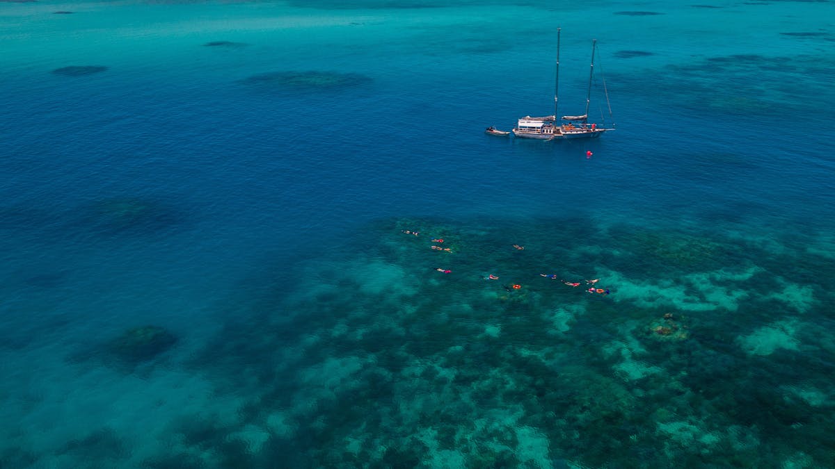 Snorkelling off Ocean Free vessel on Great Barrier Reef -  Green island, snorkel and dive , island