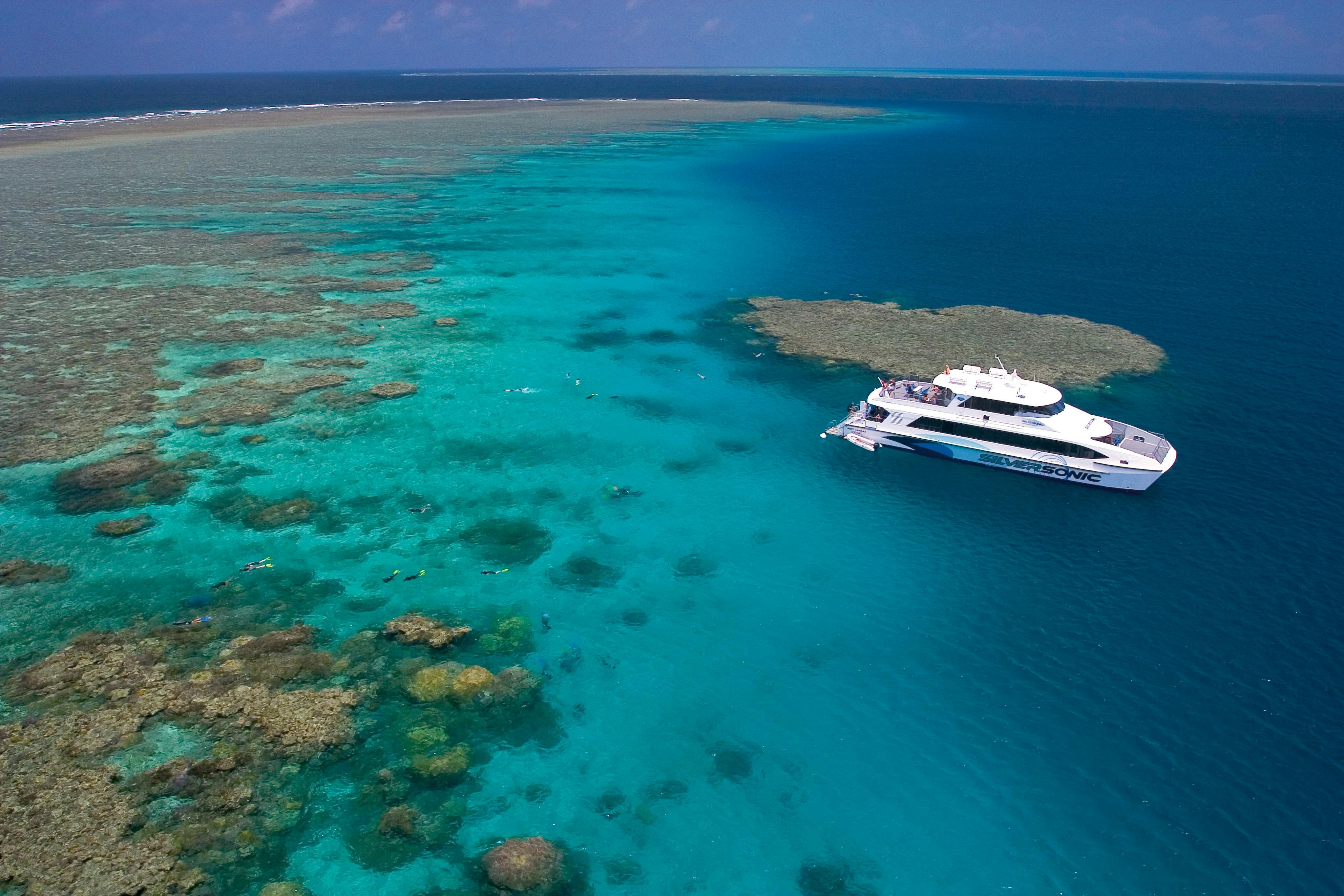 Great Barrier Reef dive and snorkel adventures