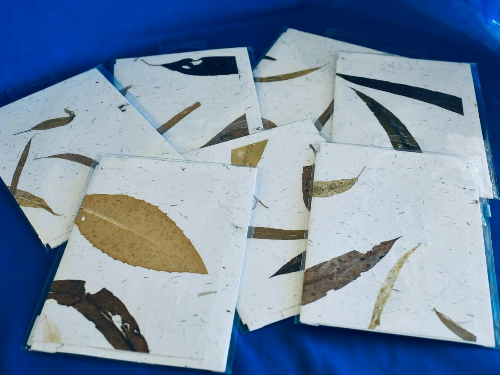 Leaves on paper cards.