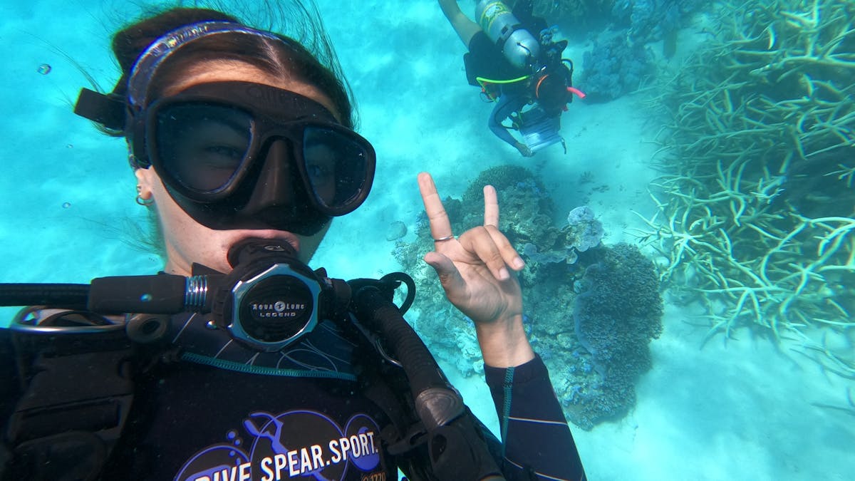 Divers in the clear blue waters