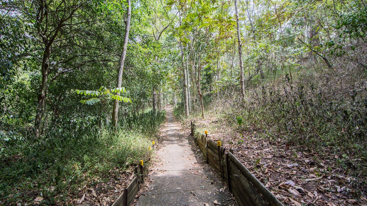 Kumbartcho Sanctuary Trails
