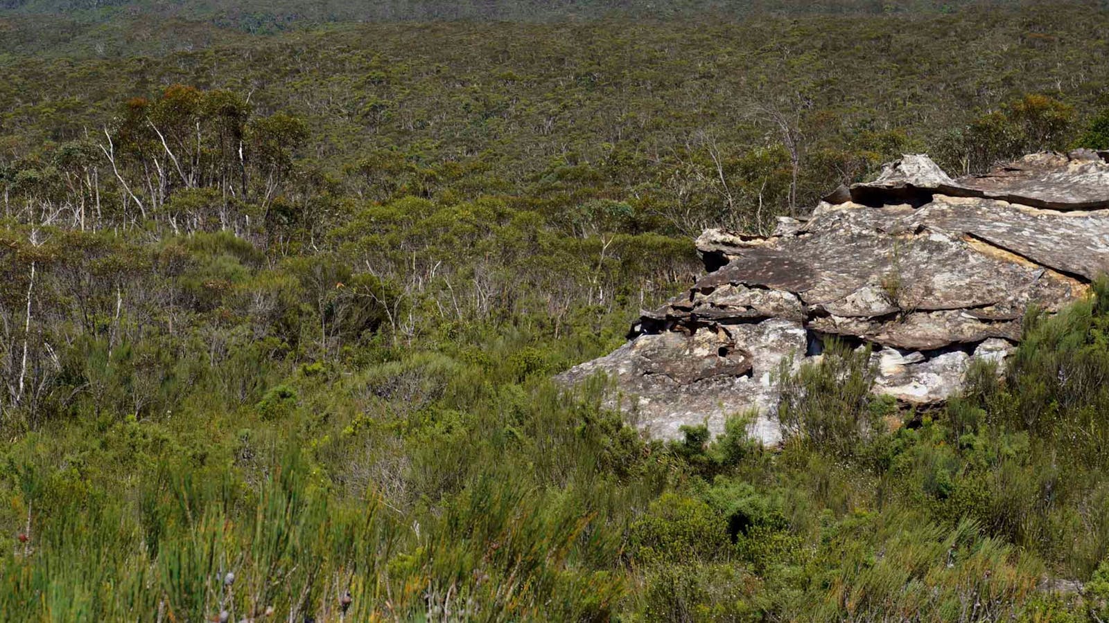 Wentworth Falls to Woodford via Ingar campground