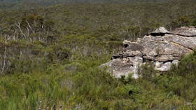 Wentworth Falls to Woodford via Ingar campground
