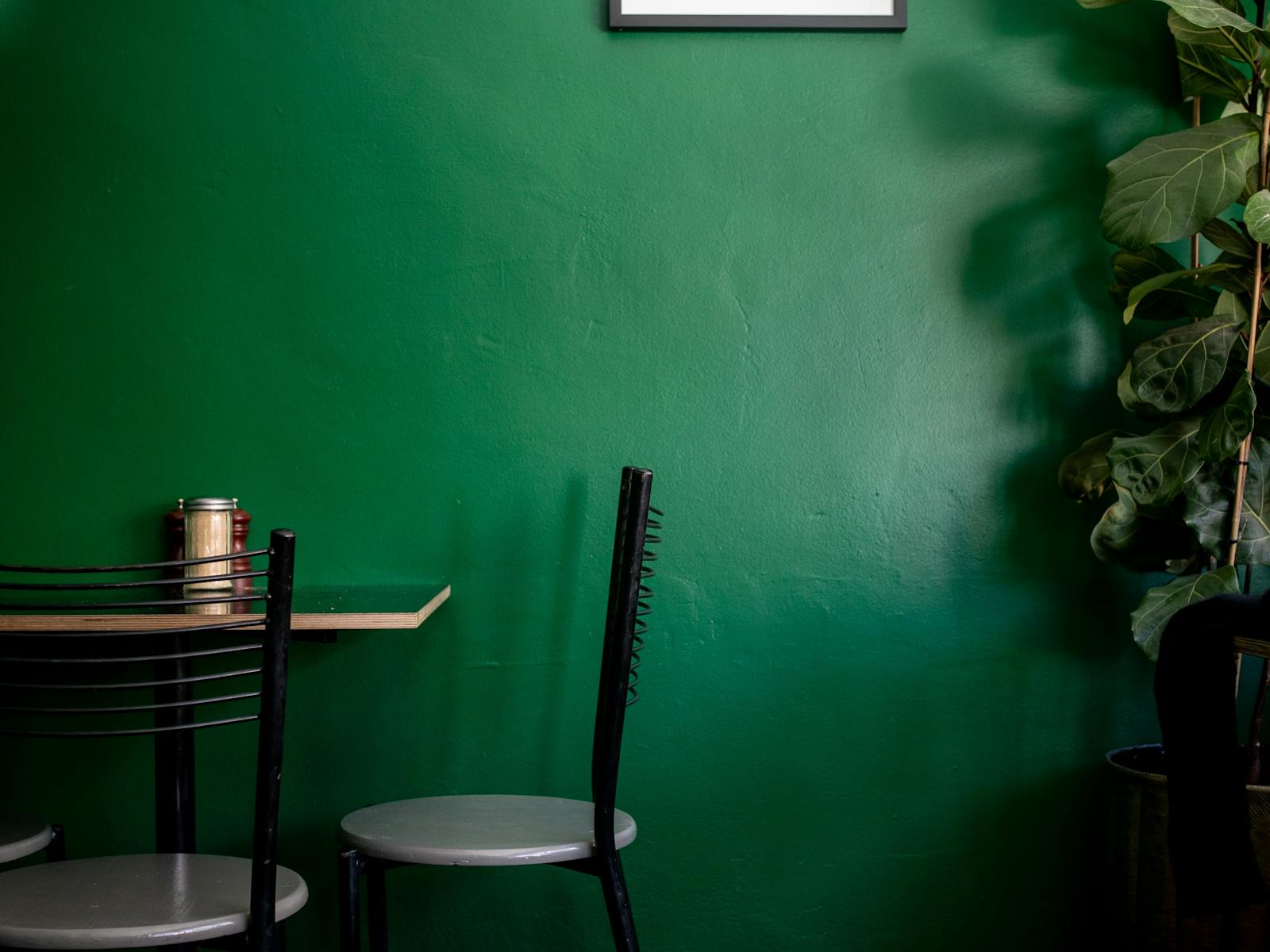 A table and two chairs, arranged near a fiddle leaf fig plant
