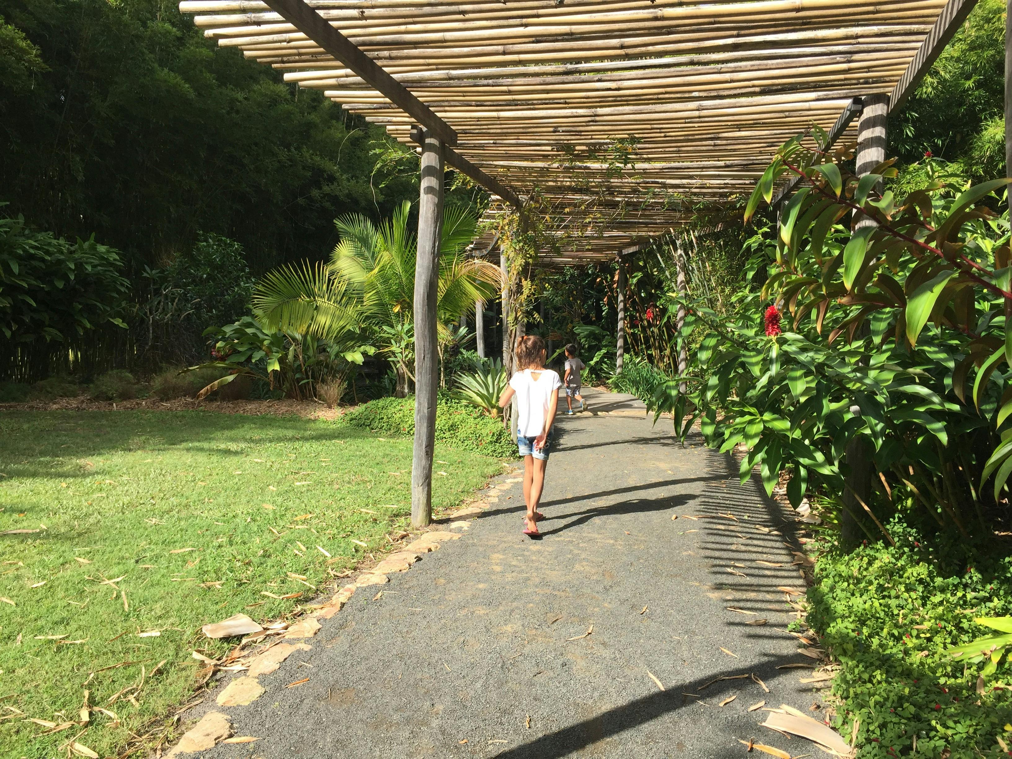 photo showing child walking on a pathway at Bamboo Land Nursery & Parklands