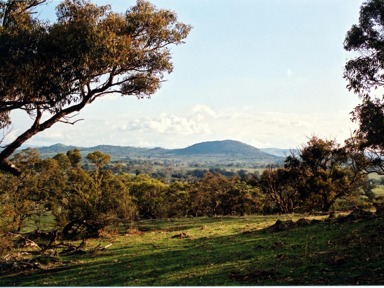 Image for Bowning Hill Walk