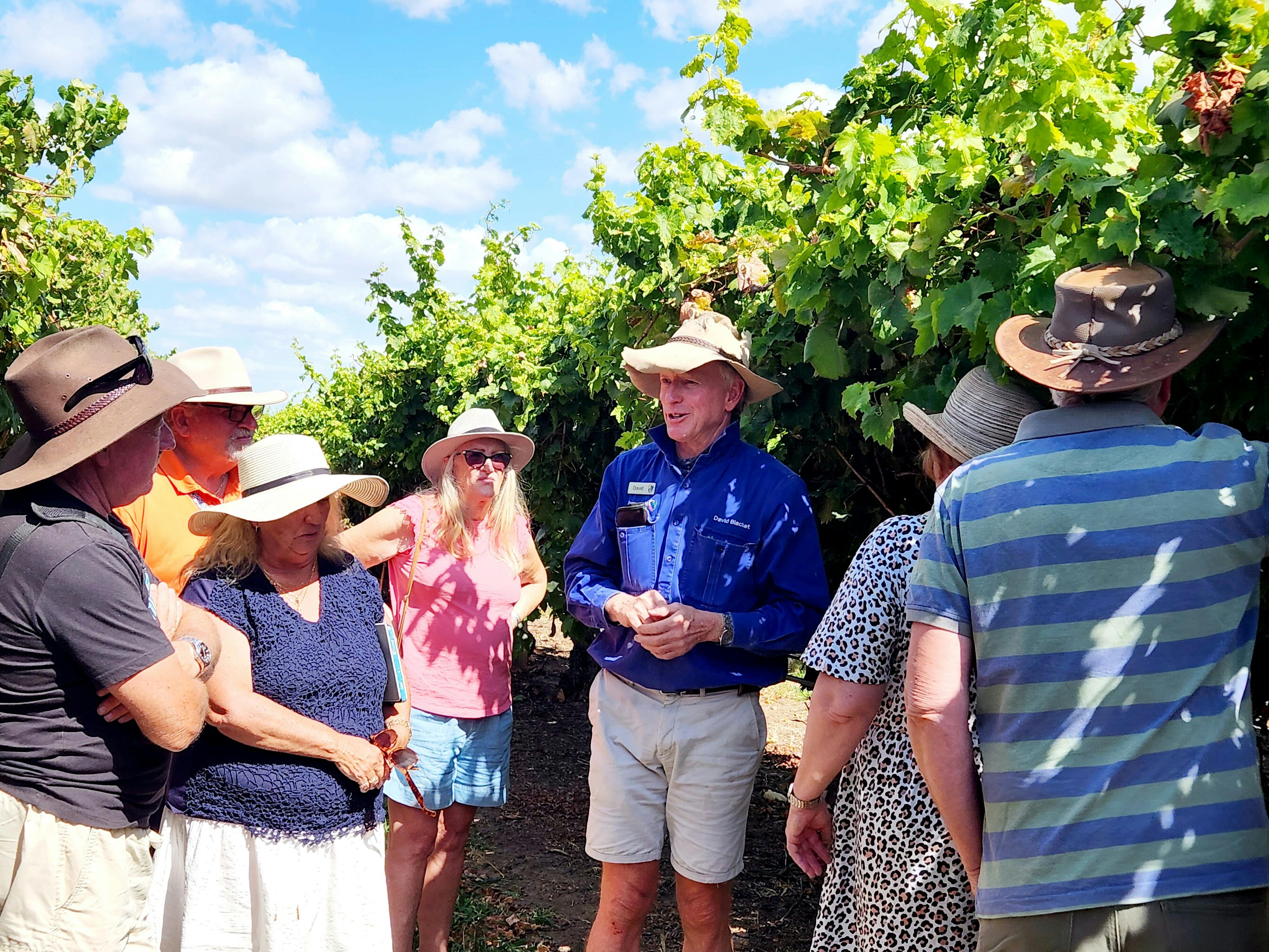 Riversands Vineyards