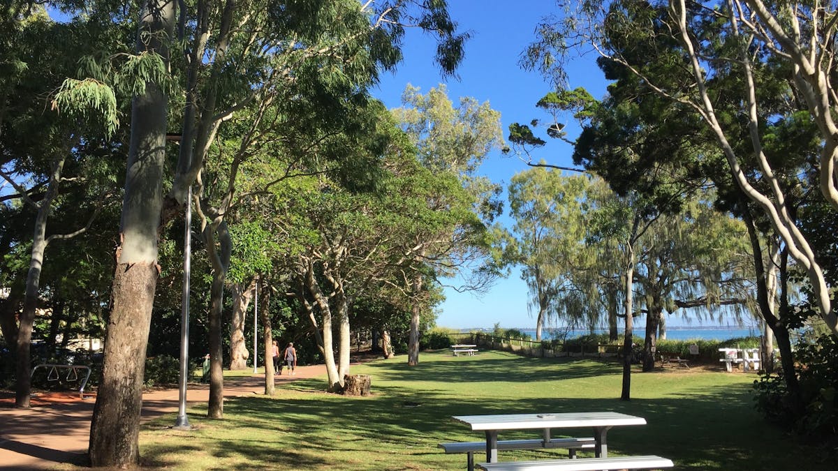 photo showing part of Hervey Bay Coastal Pathway near grassed area with picnic table