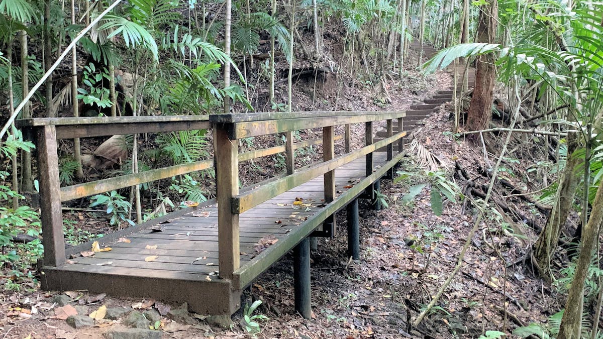 picture of a foot bridge along the rainforest walking trail