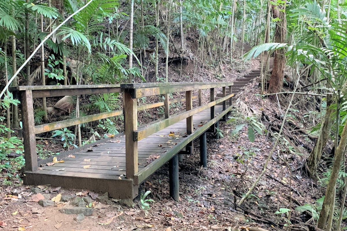 picture of a foot bridge along the rainforest walking trail