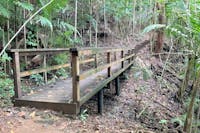 picture of a foot bridge along the rainforest walking trail