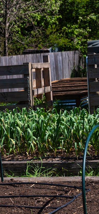 Casanova's Braidwood