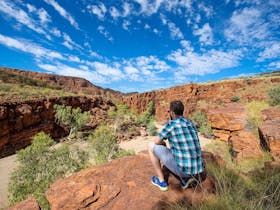 A man looking out over Trephina Gorge in the East MacDonnell Ranges near Alice Springs