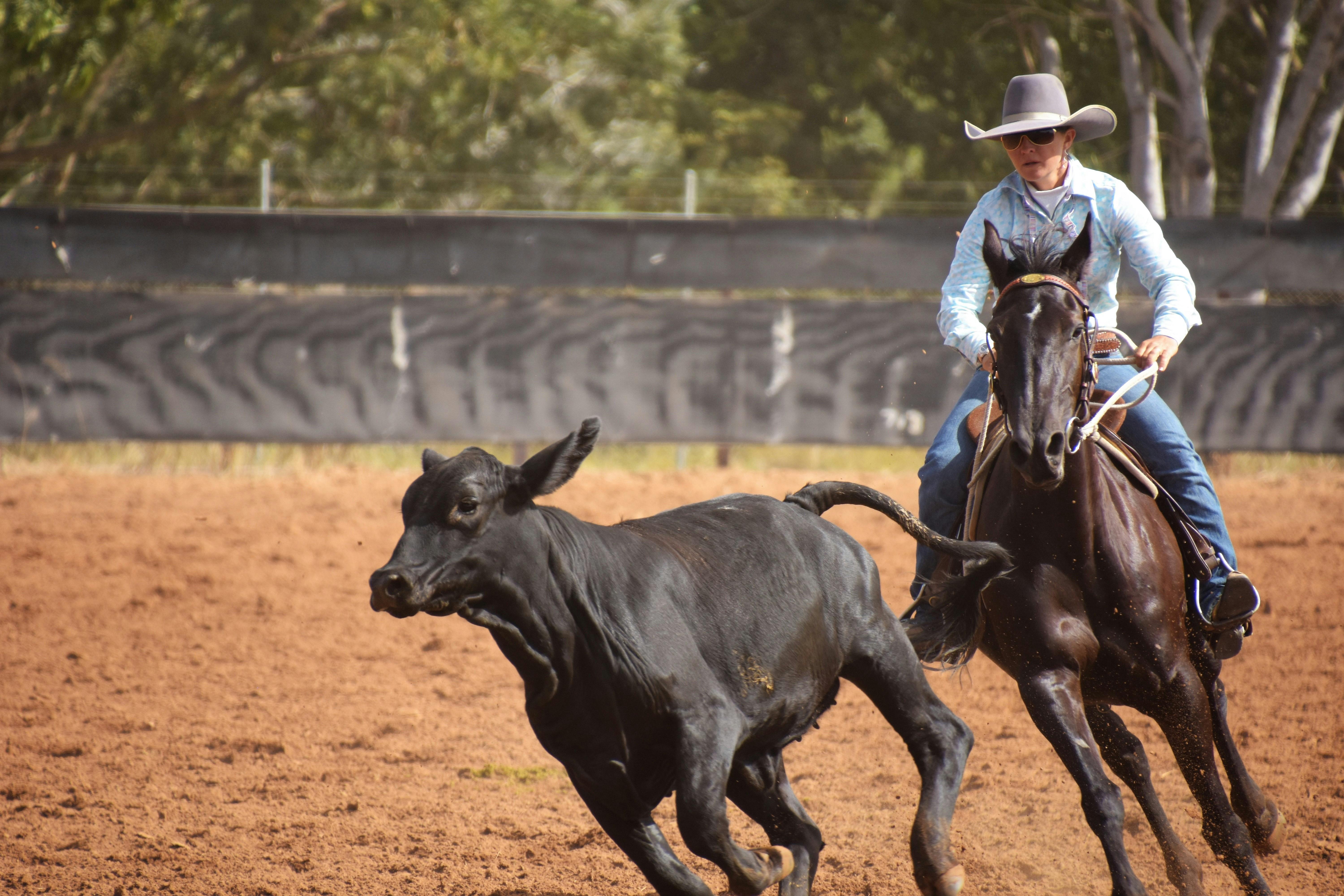 campdraft