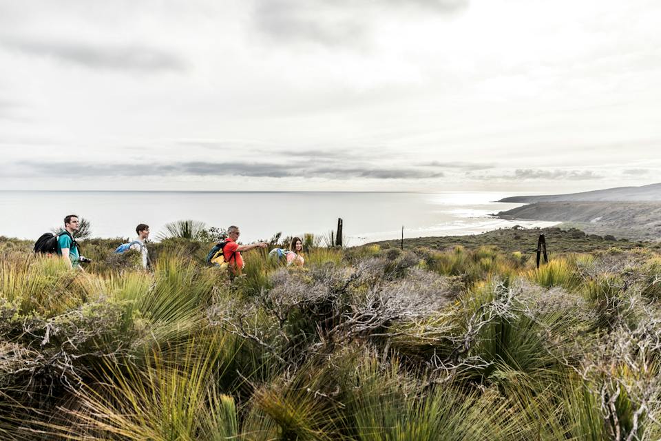Narawntapu National Park photo