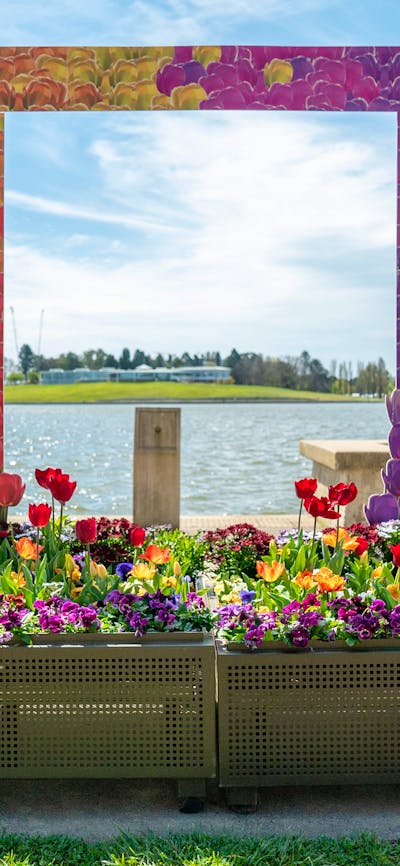 Floriade flower boxes with photo frame