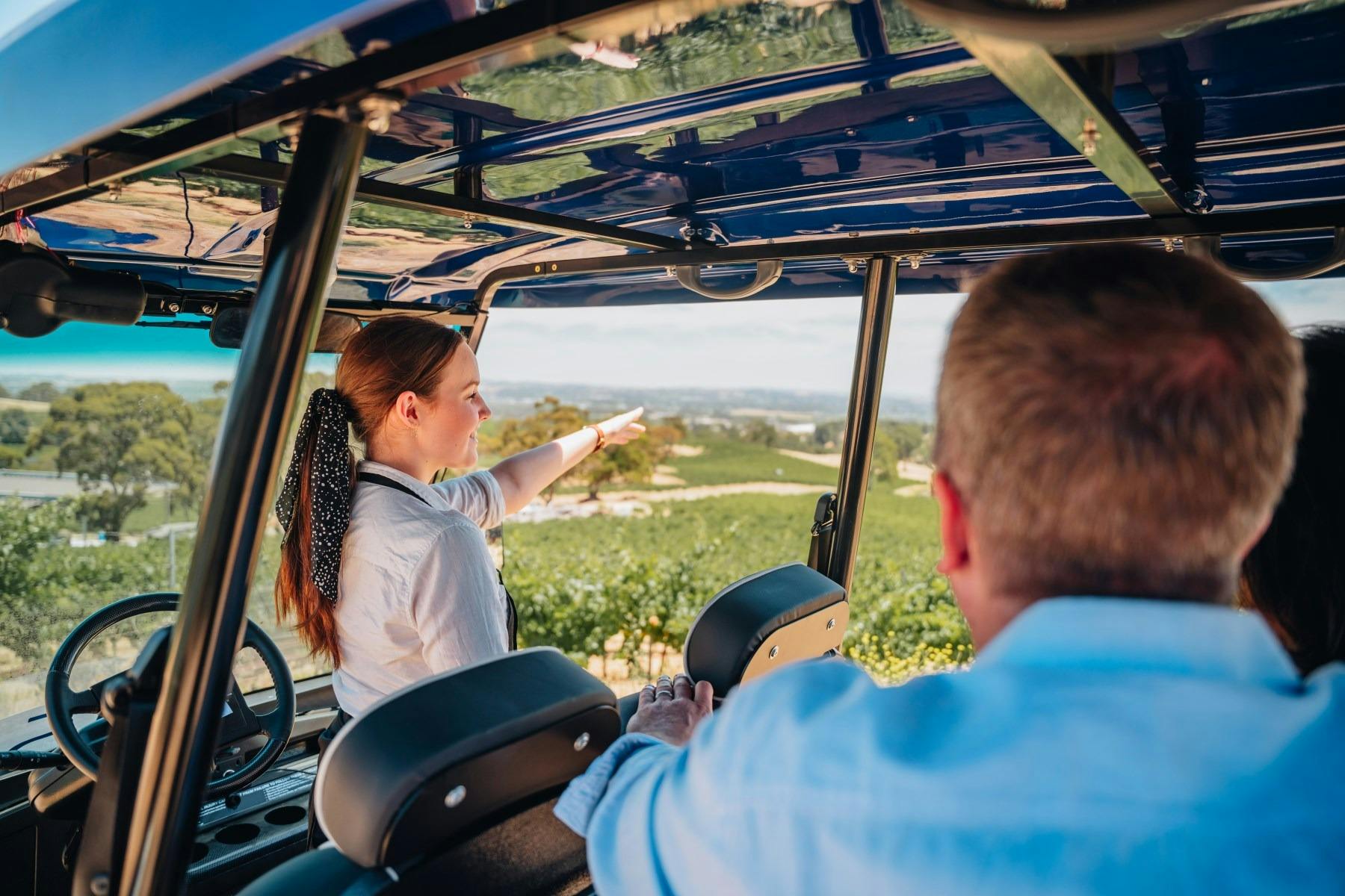 EcoVine Explorer - vineyard e-cart tours