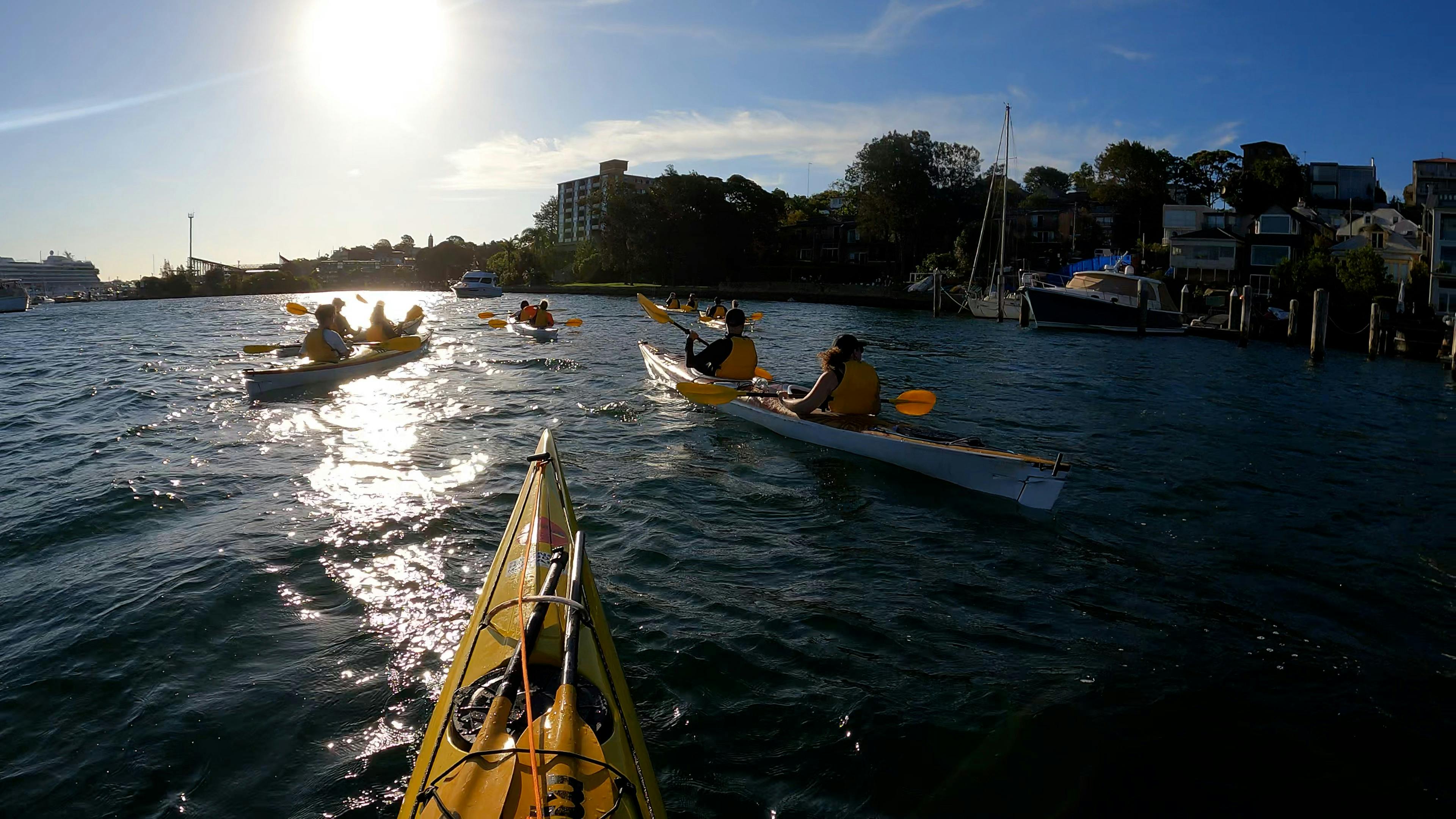 Sydney Harbour Sundowner