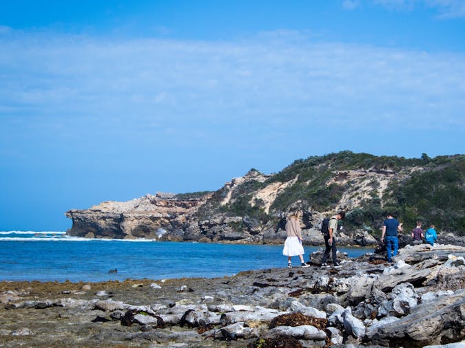 Port MacDonnell