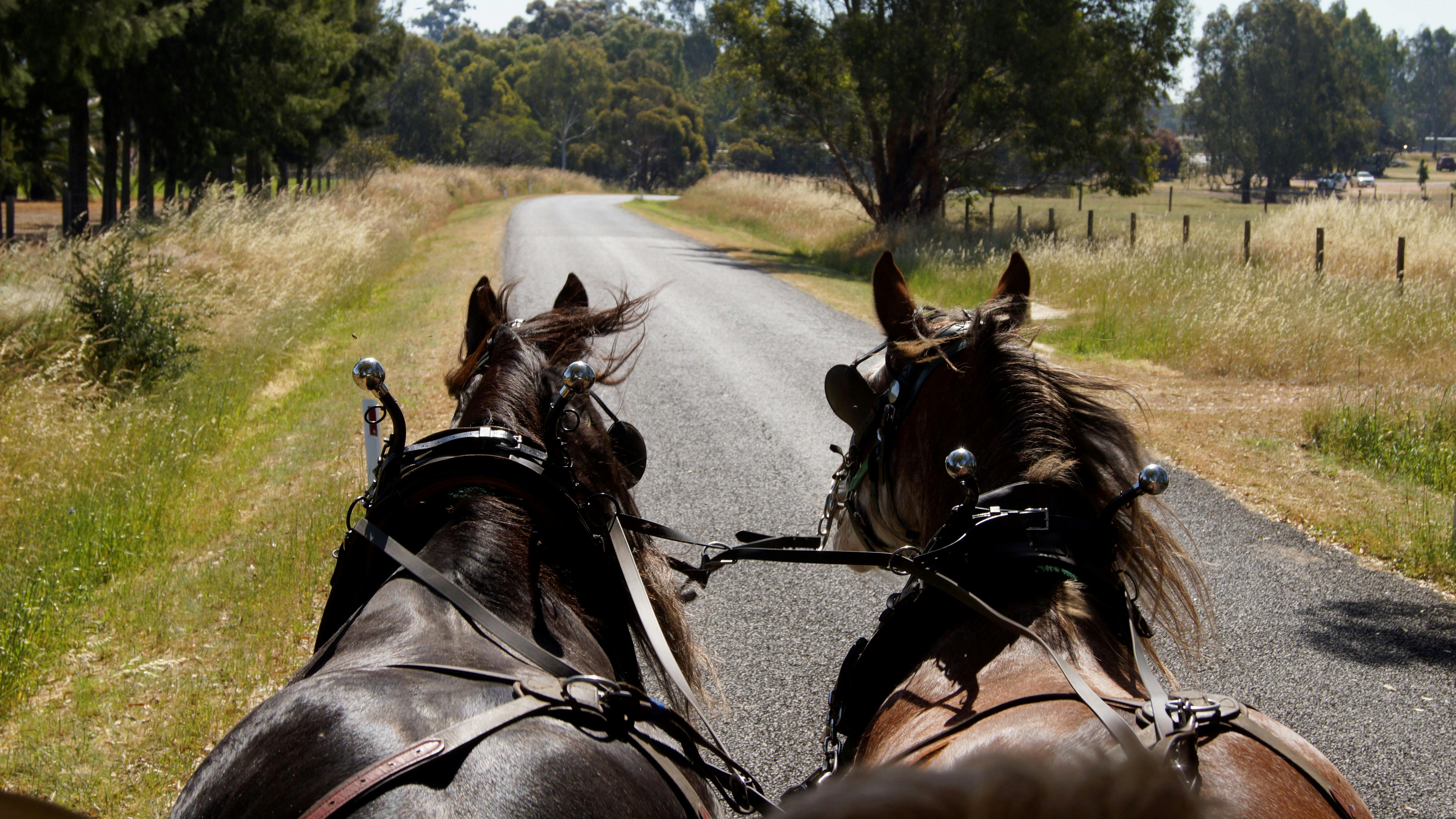 Swan Valley Wagon Tours, West Swan, Western Australia