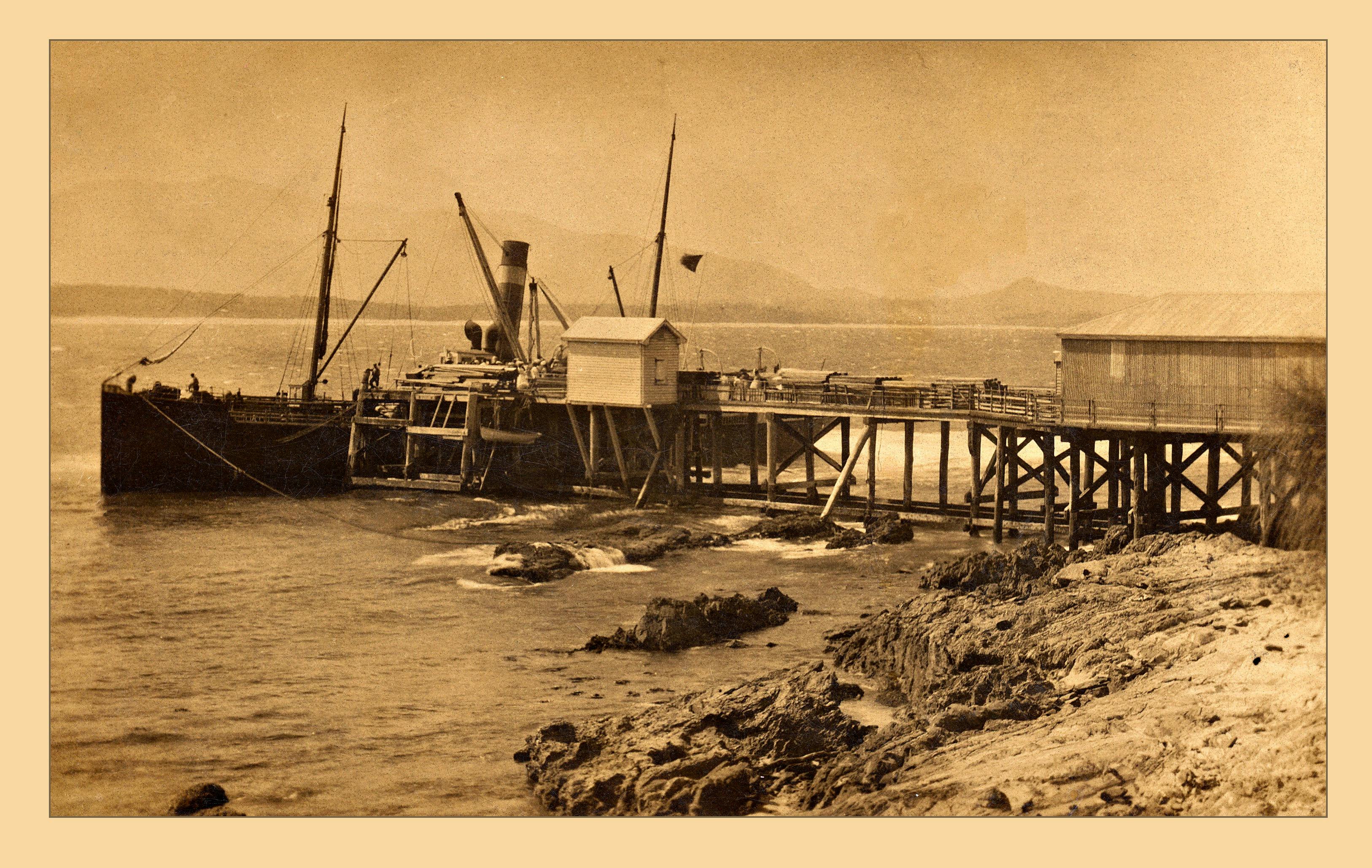 Steamship loading timber at Bermagui Wharf
