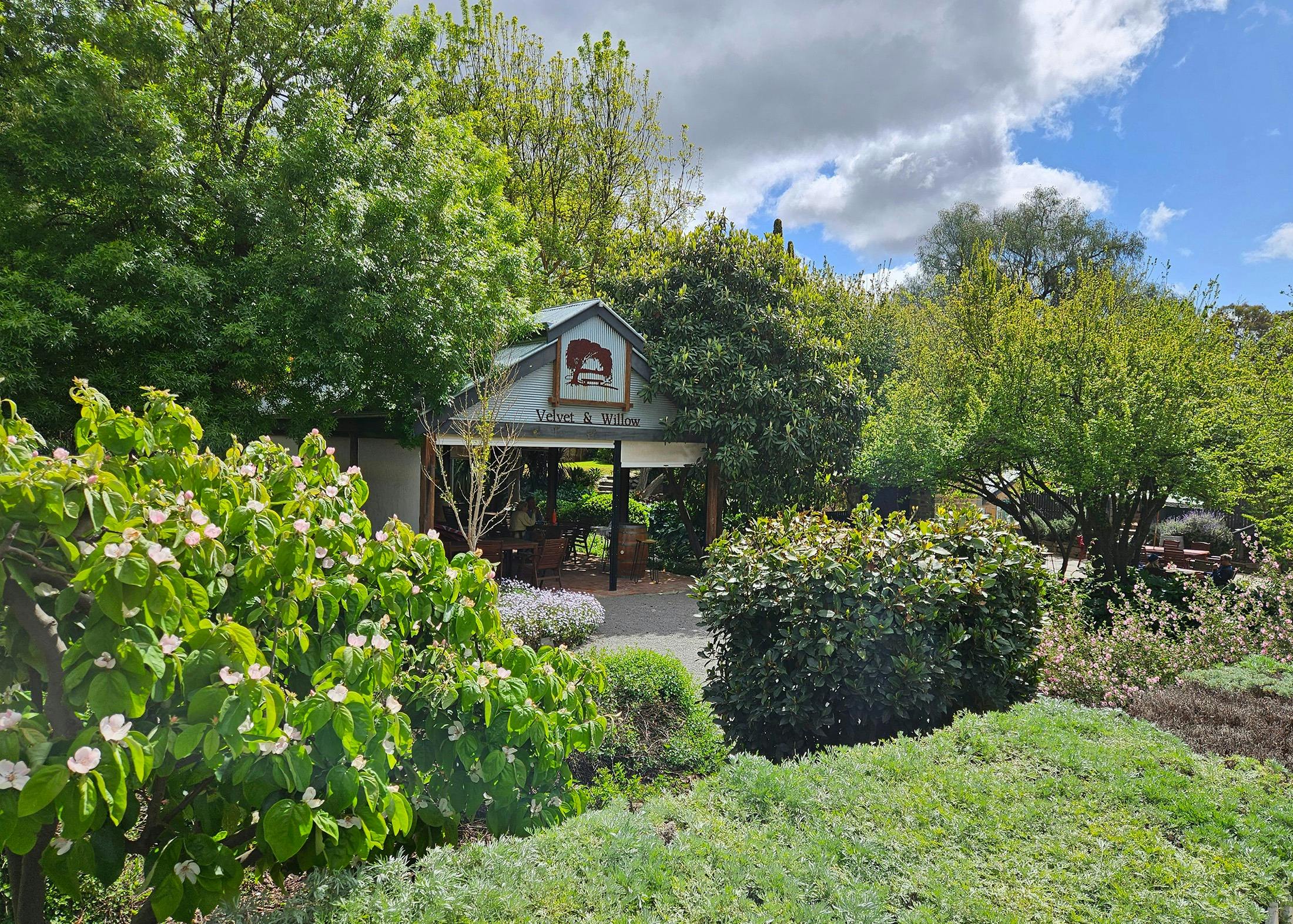 Many enjoy coffee and eats in the  surrounding Henry Wylie Heritage Gardens.