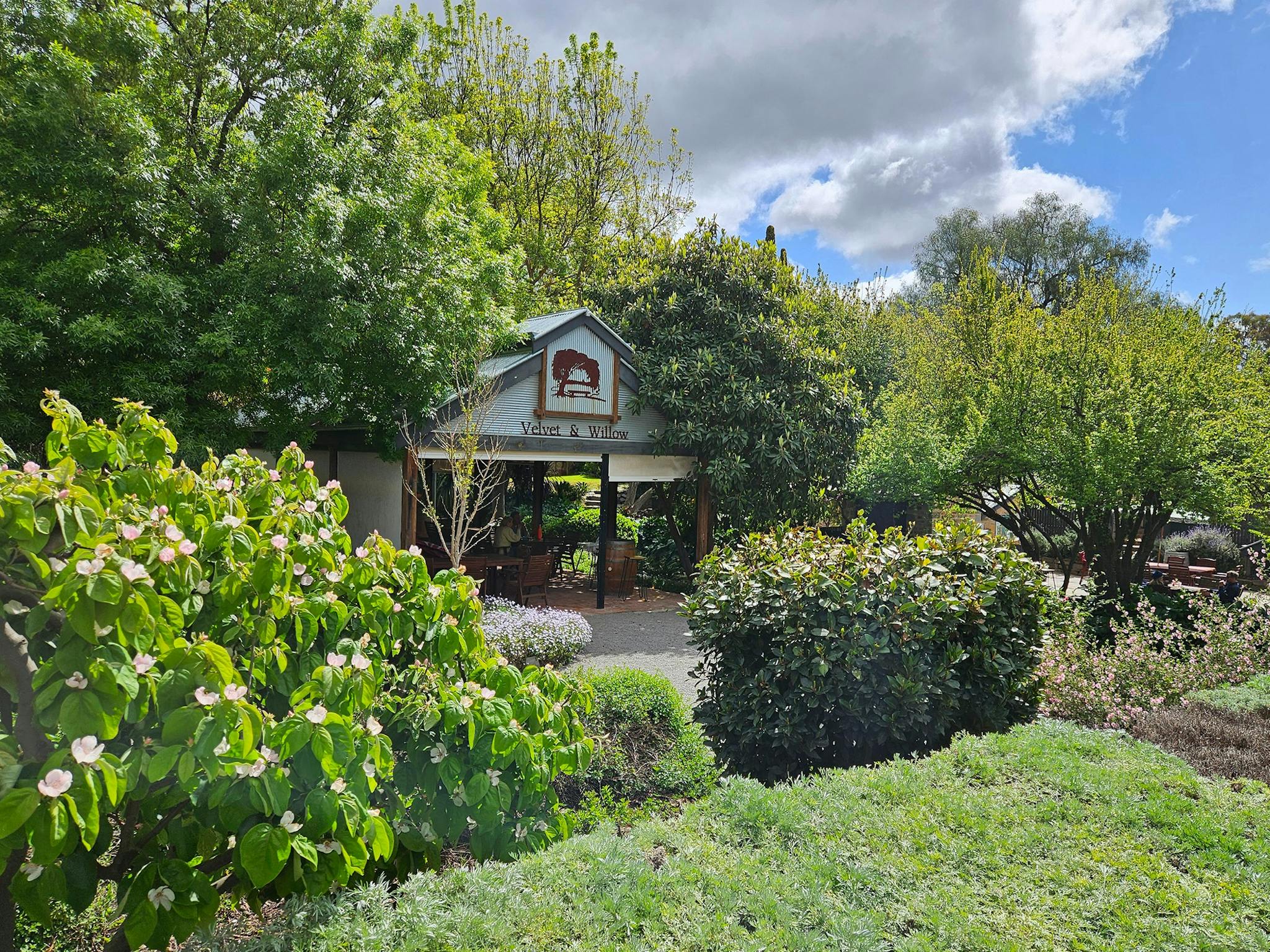 Many enjoy coffee and eats in the surrounding Henry Wylie Heritage Gardens.