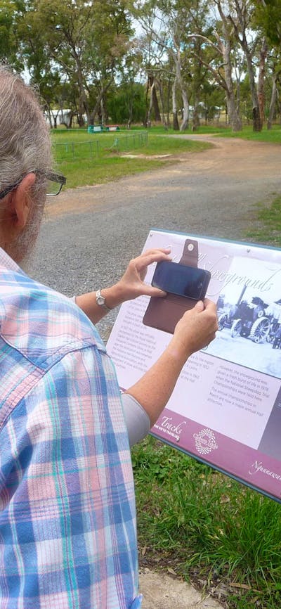 Back of man looking at information board in park setting
