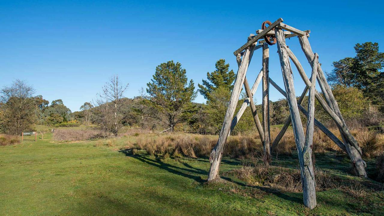 Bald Hill Walking Track